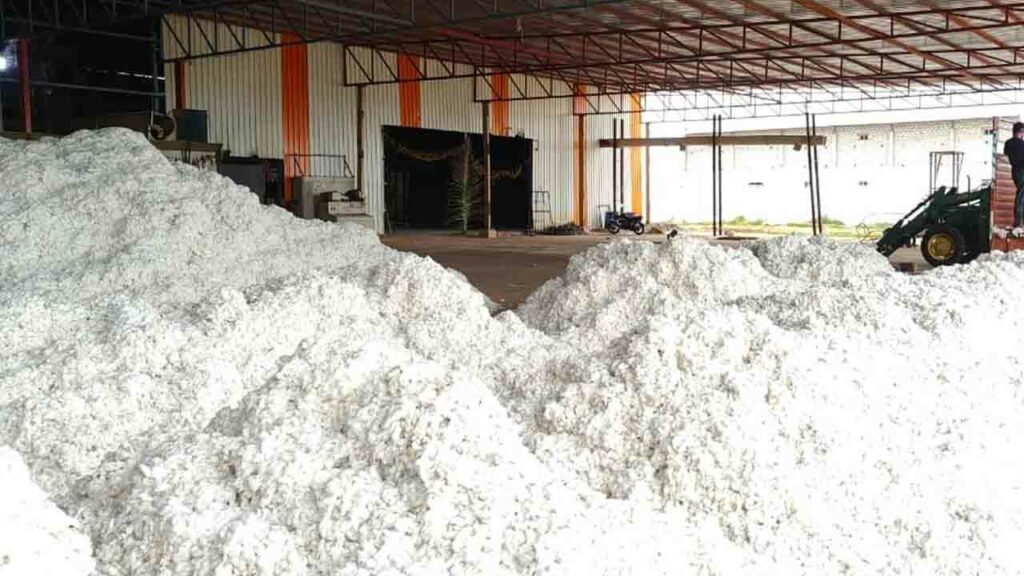 Cci Cotton Purchases