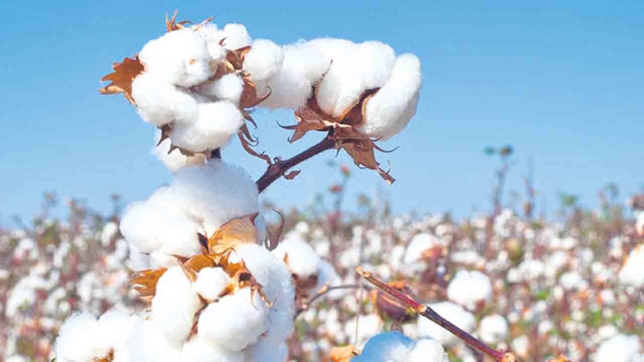 బీహార్‌ ఎన్నికల దాకా ఆగండి