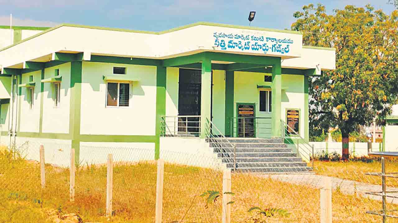 అలంకారప్రాయంగా పత్తి మార్కోట్‌