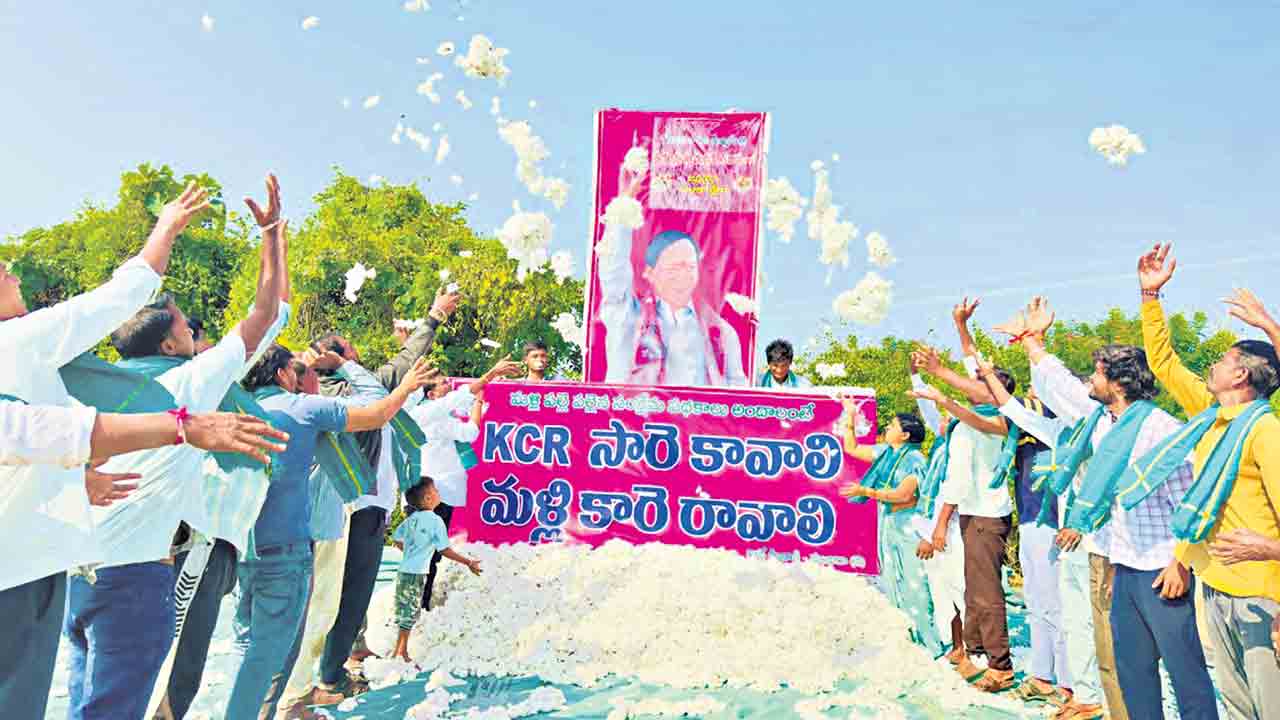 కేసీఆర్‌కు దూదిపూల అభిషేకం