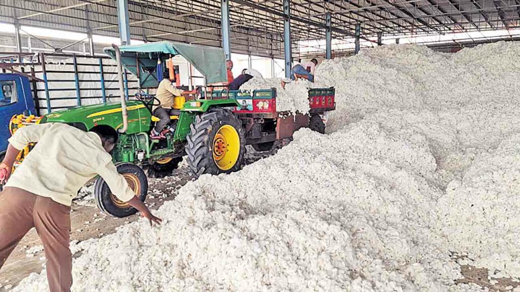 Cotton Purchase