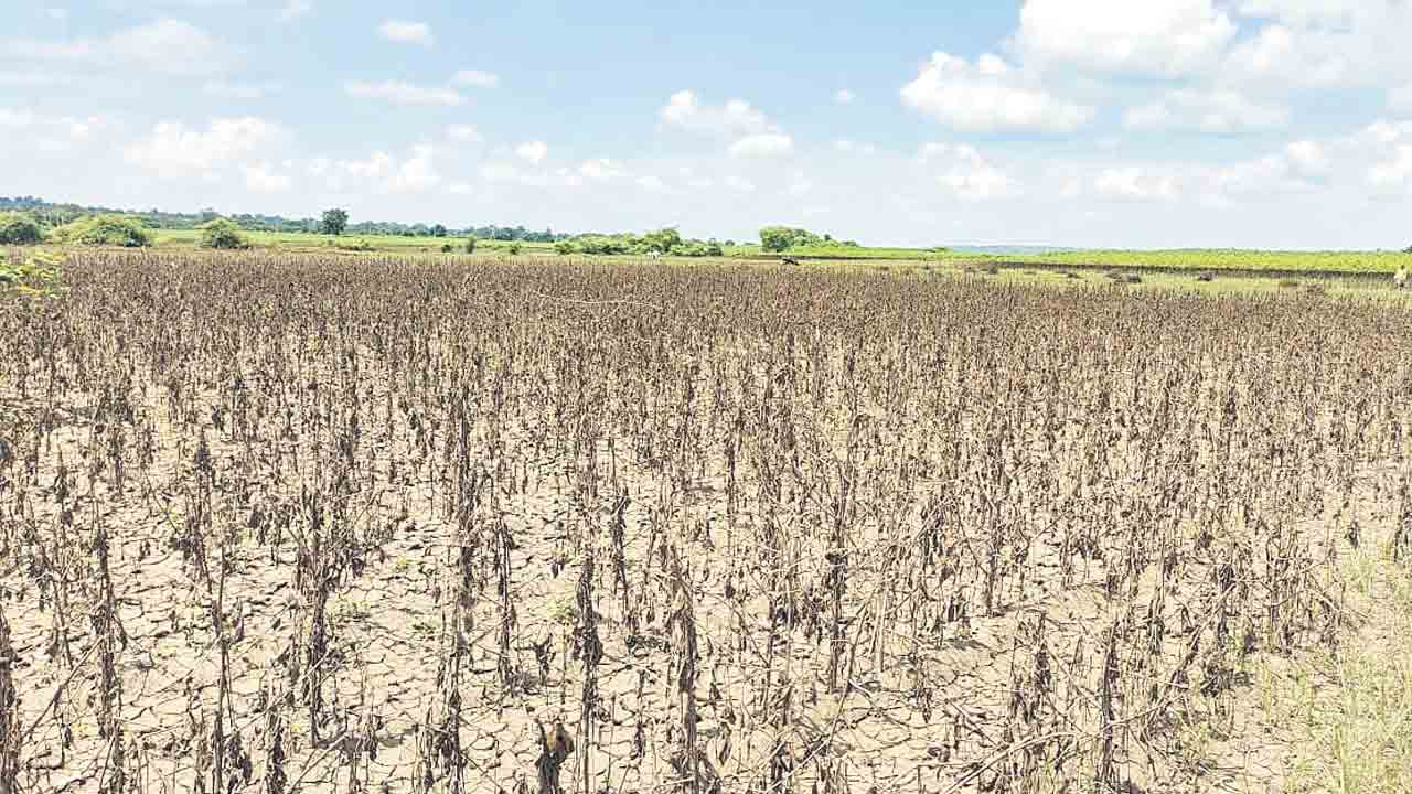 కర్షకుల కన్నీటి గోస