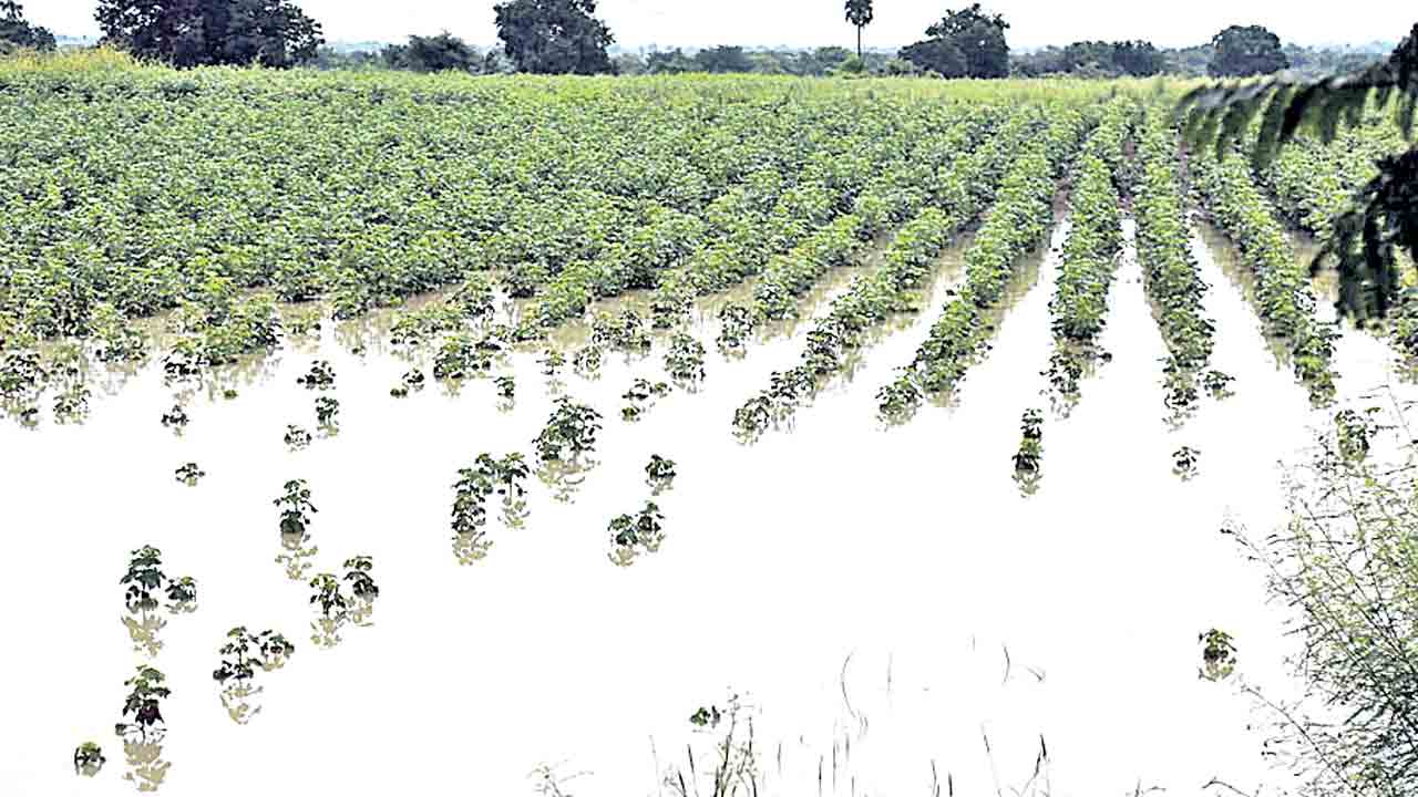 పరిహారం.. పరిహాసం !