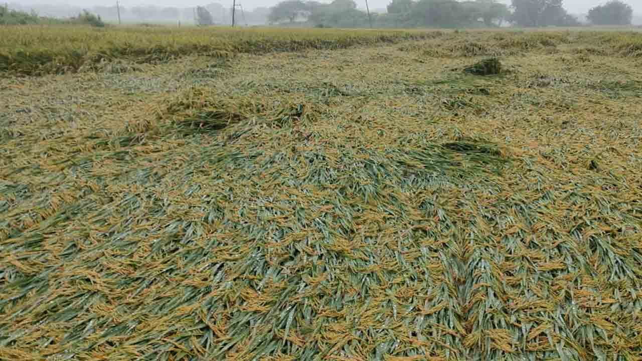 కుదిపేసిన మొంథా