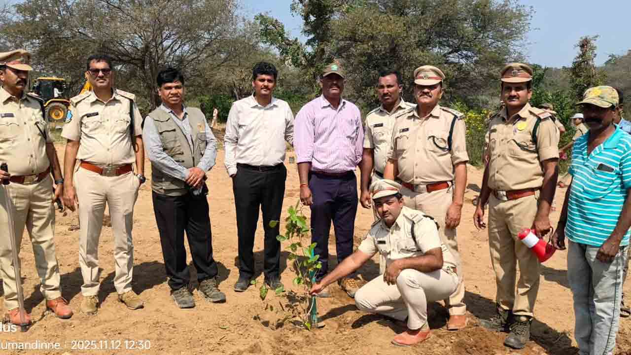 అడవిలోనే మకాం