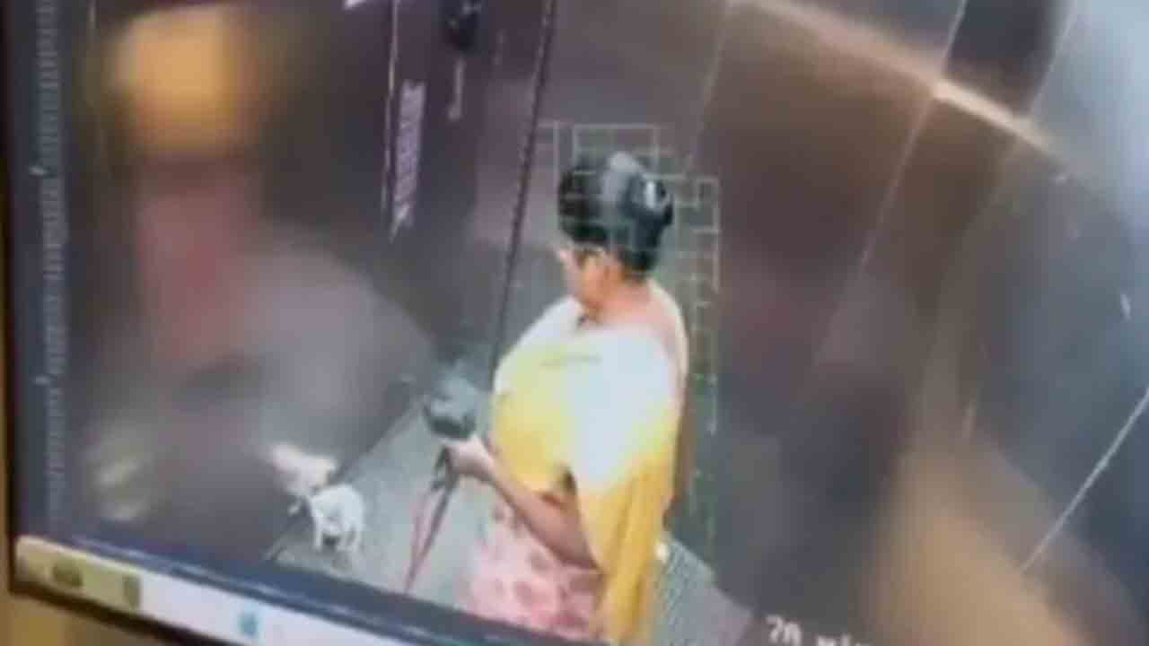 Watch: పెంపుడు కుక్కను లిఫ్ట్‌లో చంపిన పనిమనిషి.. వీడియో వైరల్‌