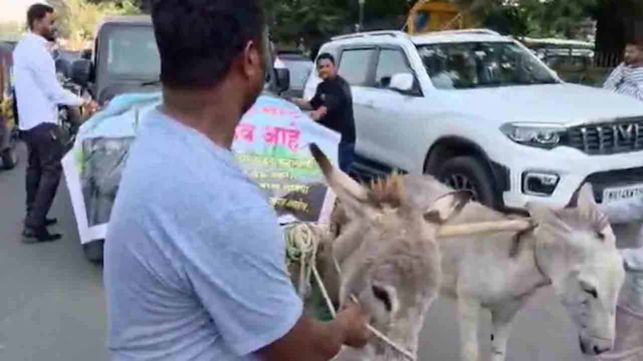 Watch: కొత్తగా కొనుగోలు చేసిన థార్‌లో సమస్యలు.. షోరూమ్‌కు లాక్కెళ్లిన గాడిదలు