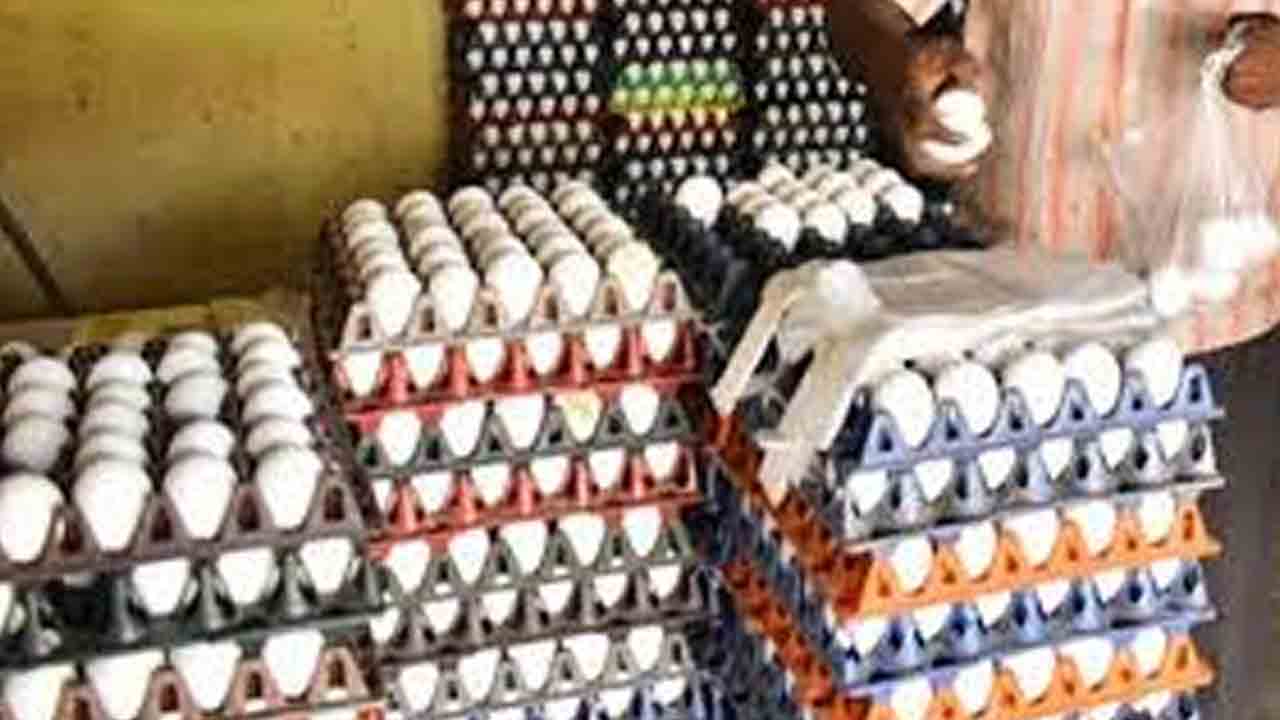 నెలకు మూడు కాదు.. రెండుసార్లే గుడ్లు!