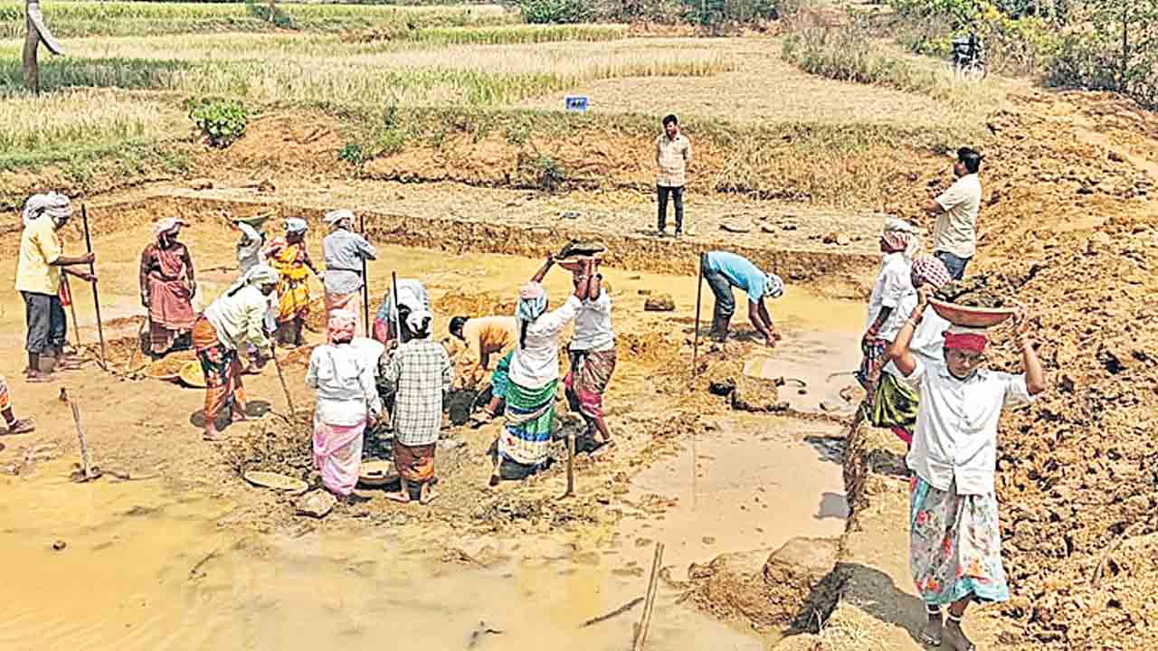 అక్రమాలకు చెక్‌