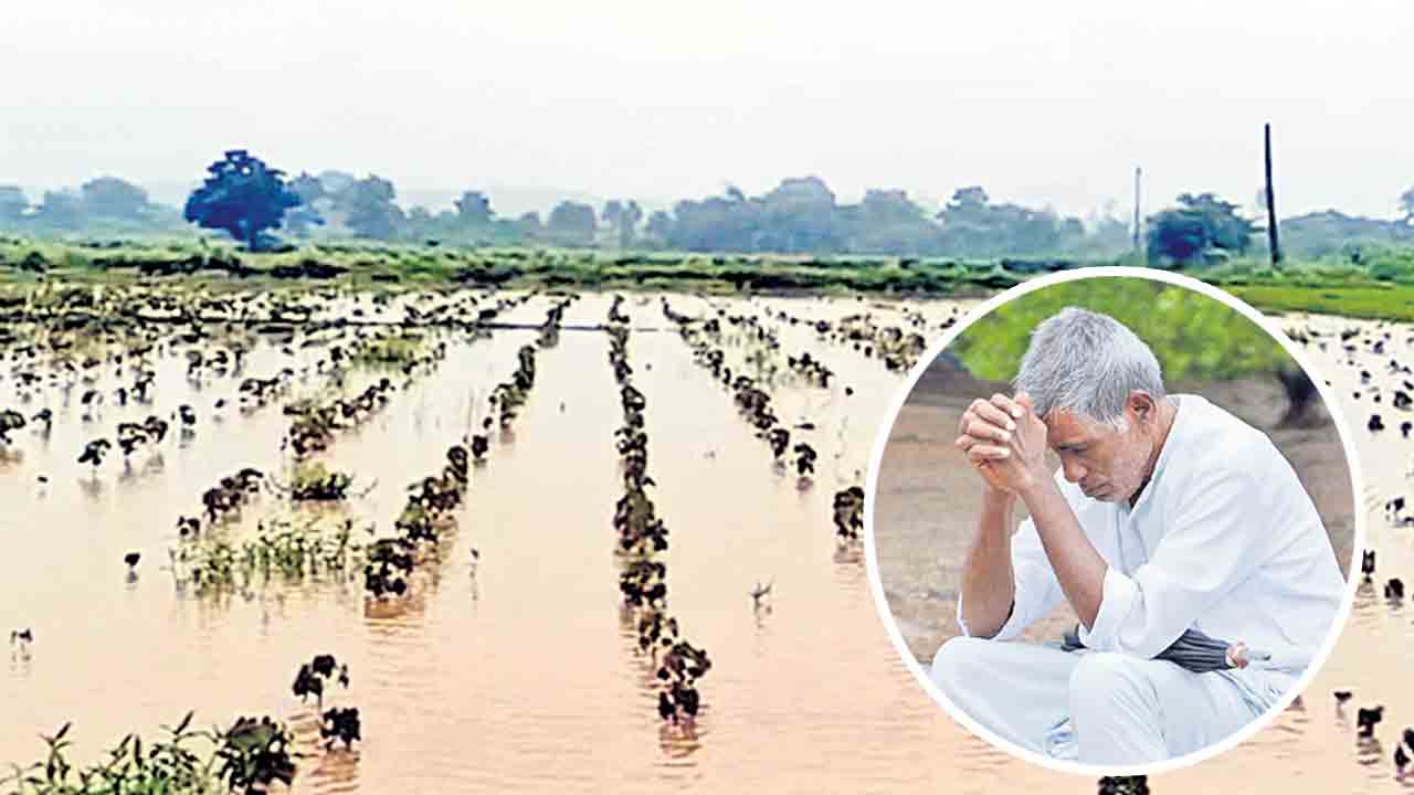 అందని సాయం.. అన్నదాత దైన్యం