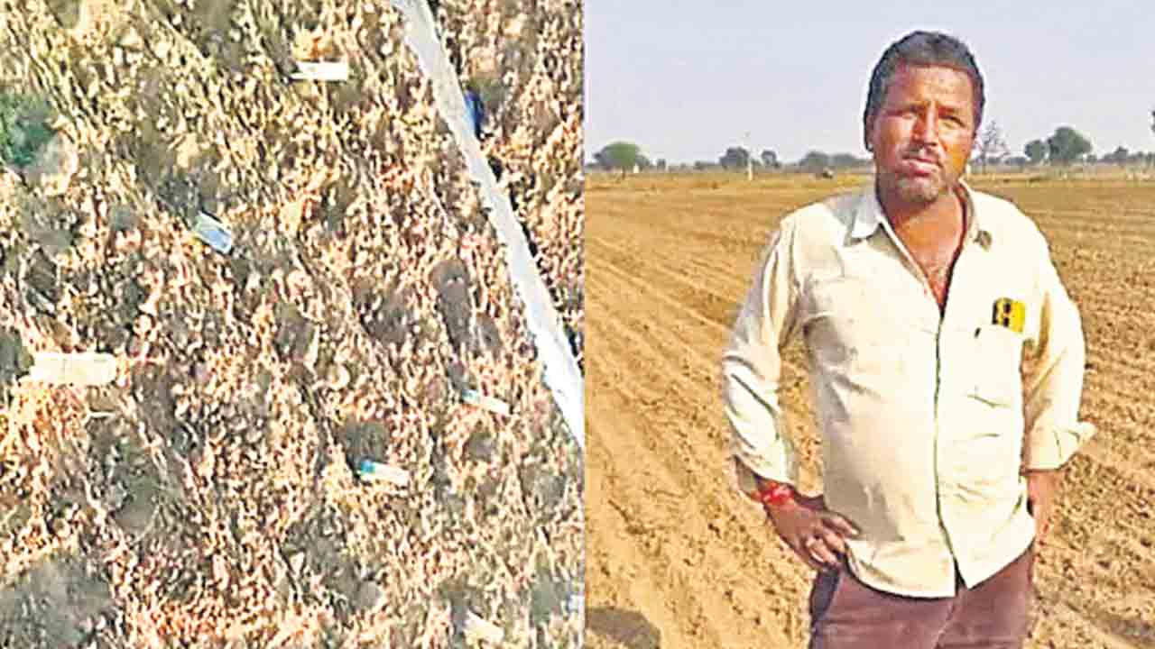 పొలంలో రూ 500 నోట్లను నాటిన రైతన్న.. బీమా పరిహారం రానందుకు నిరసన
