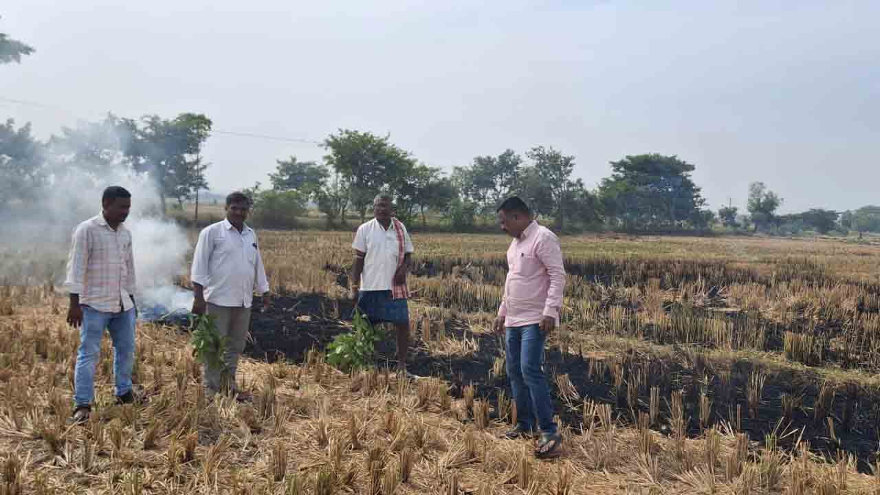 Farmers | రైతులు వరి కొయ్యలను కాల్చవద్దు : వ్యవసాయ శాఖ ఏడిఏ బాబు నాయక్