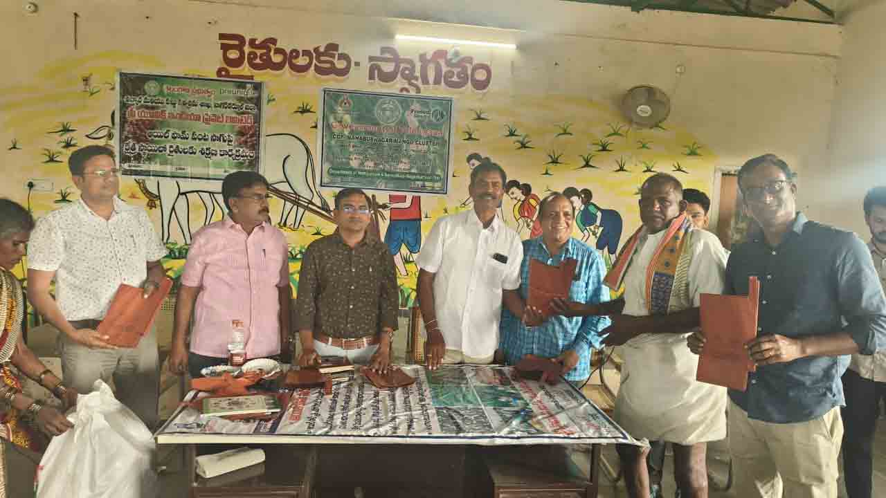 Mango yield | అధిక మందుల వాడకంతో మామిడి దిగుబడి తగ్గుదల