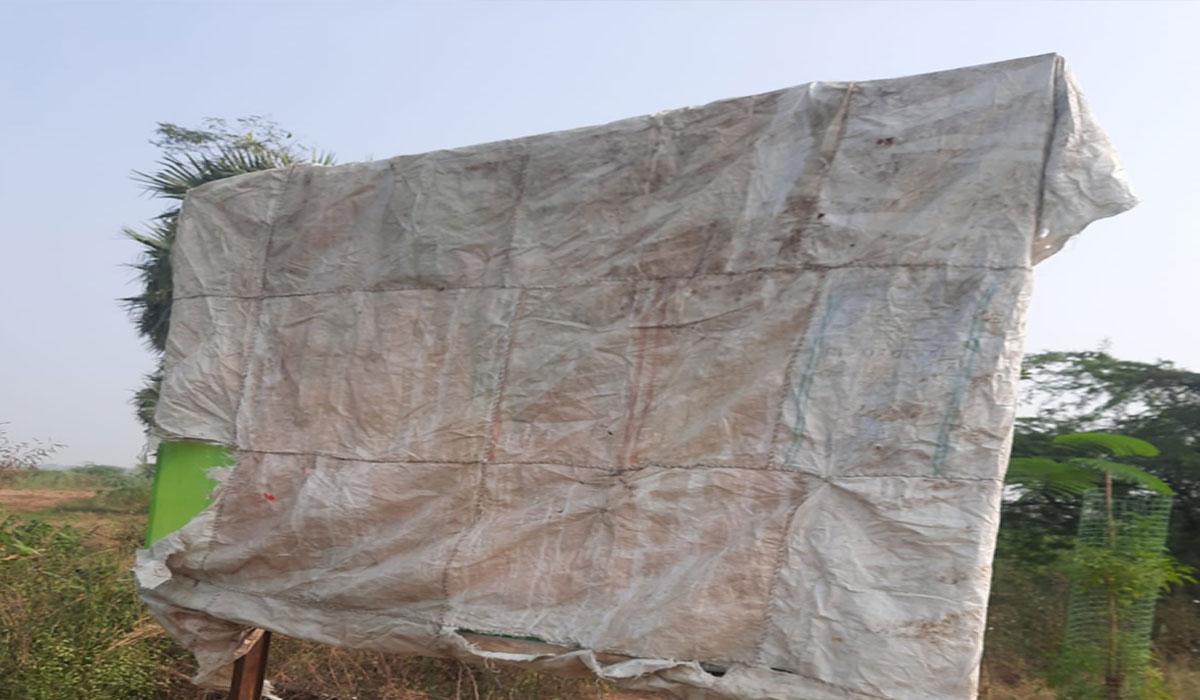 Removed flexi | ఫ్లెక్సీలను తొలగించిన అధికారులు.. ‘నమస్తే తెలంగాణ’ కథనానికి స్పందన