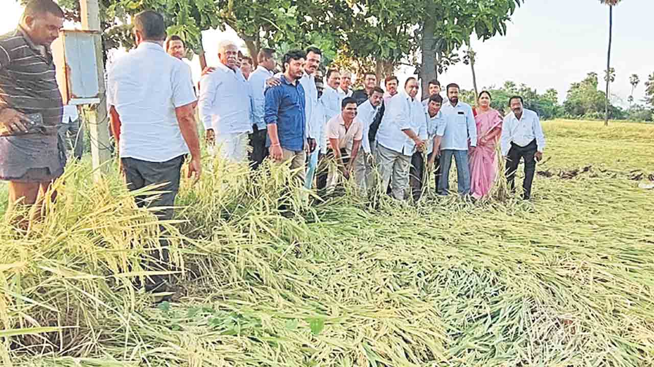 యుద్ధప్రాతిపదికన నష్టం అంచనా వేయాలి