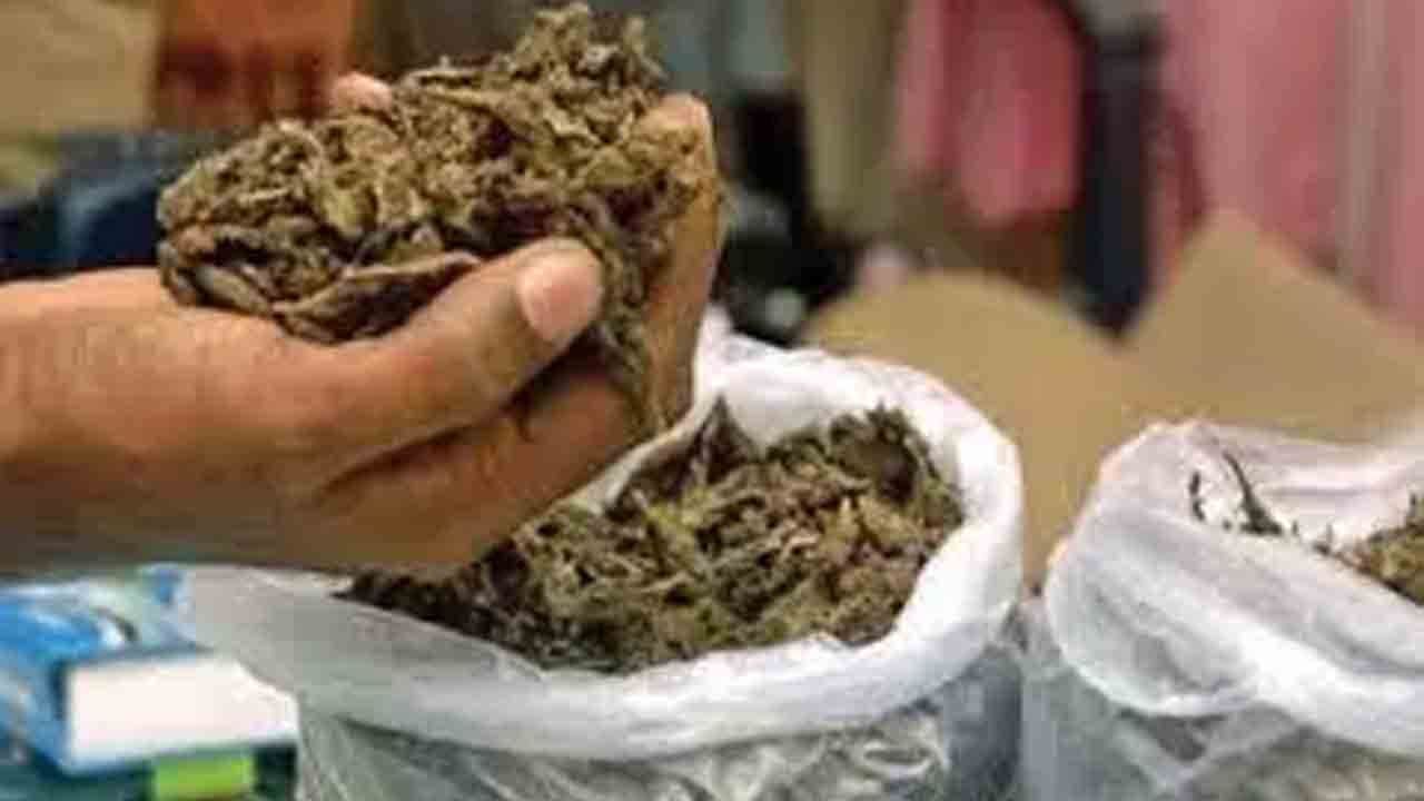 Visakhapatnam | విశాఖలో రూ.5.21 కోట్ల విలువ గల గంజాయి ధ్వంసం