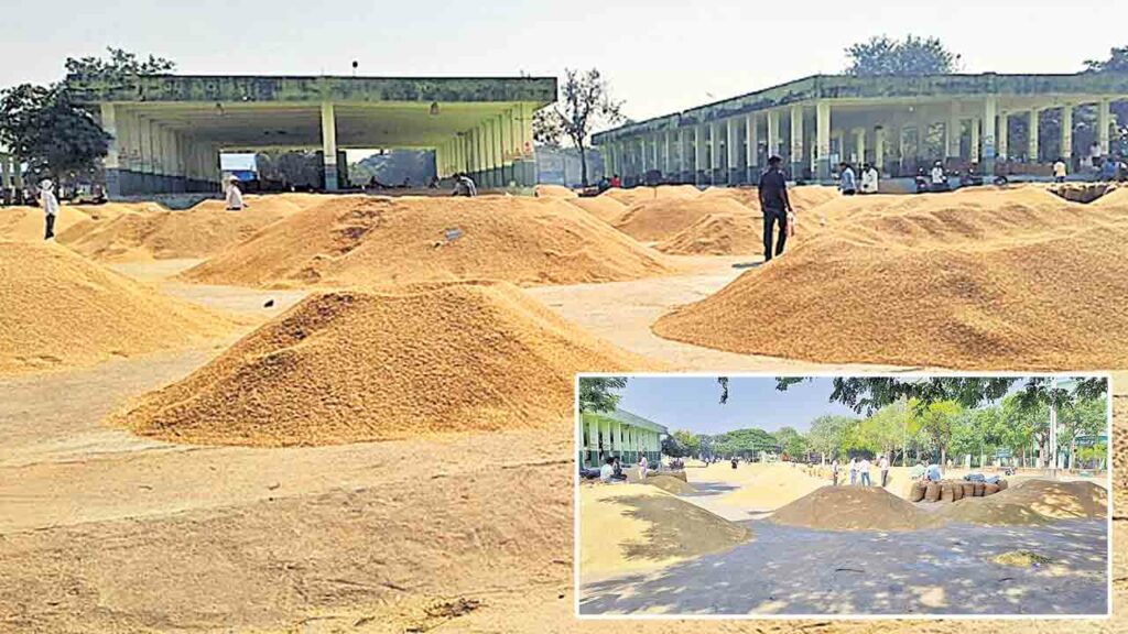 Grain Purchase Centers