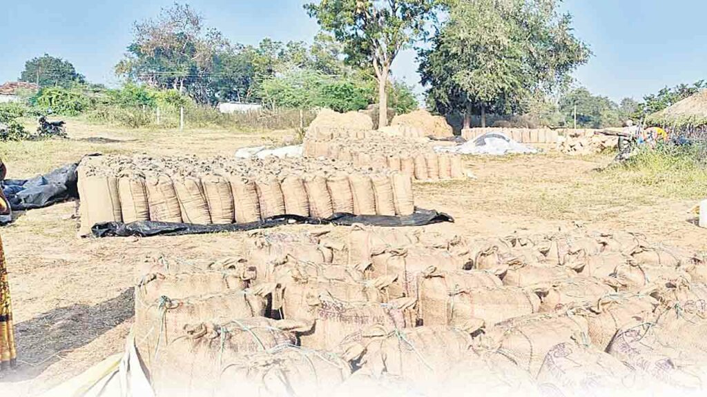 Grain Purchase Centers