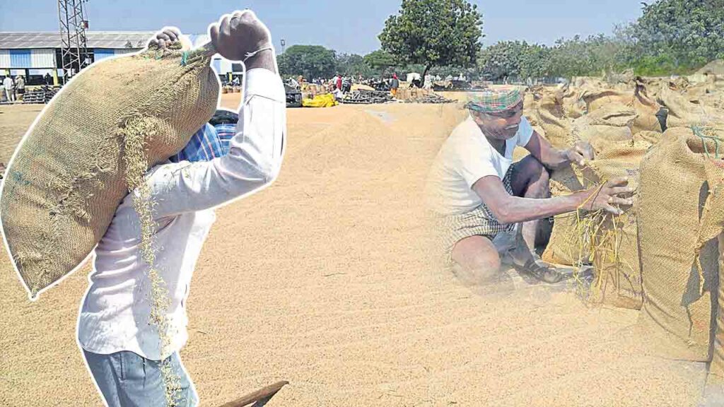 Grain Purchases Centres