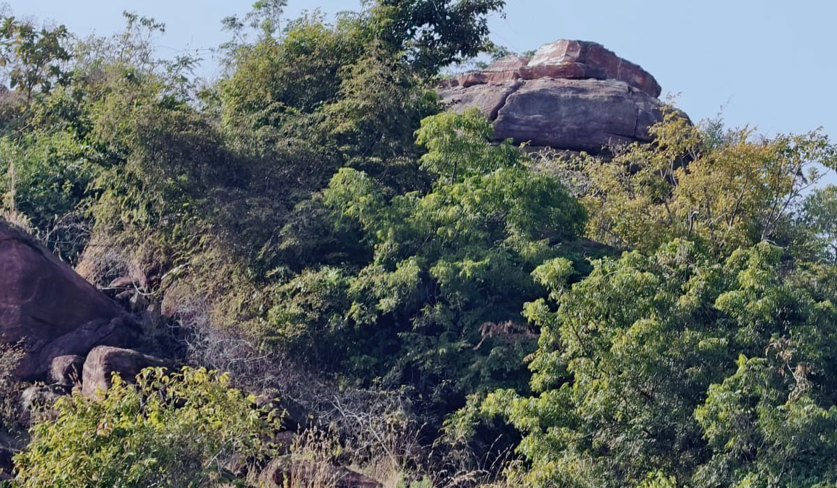  Dharmapuri | ధర్మపురి లో గుప్తనిధుల కలకలం..!