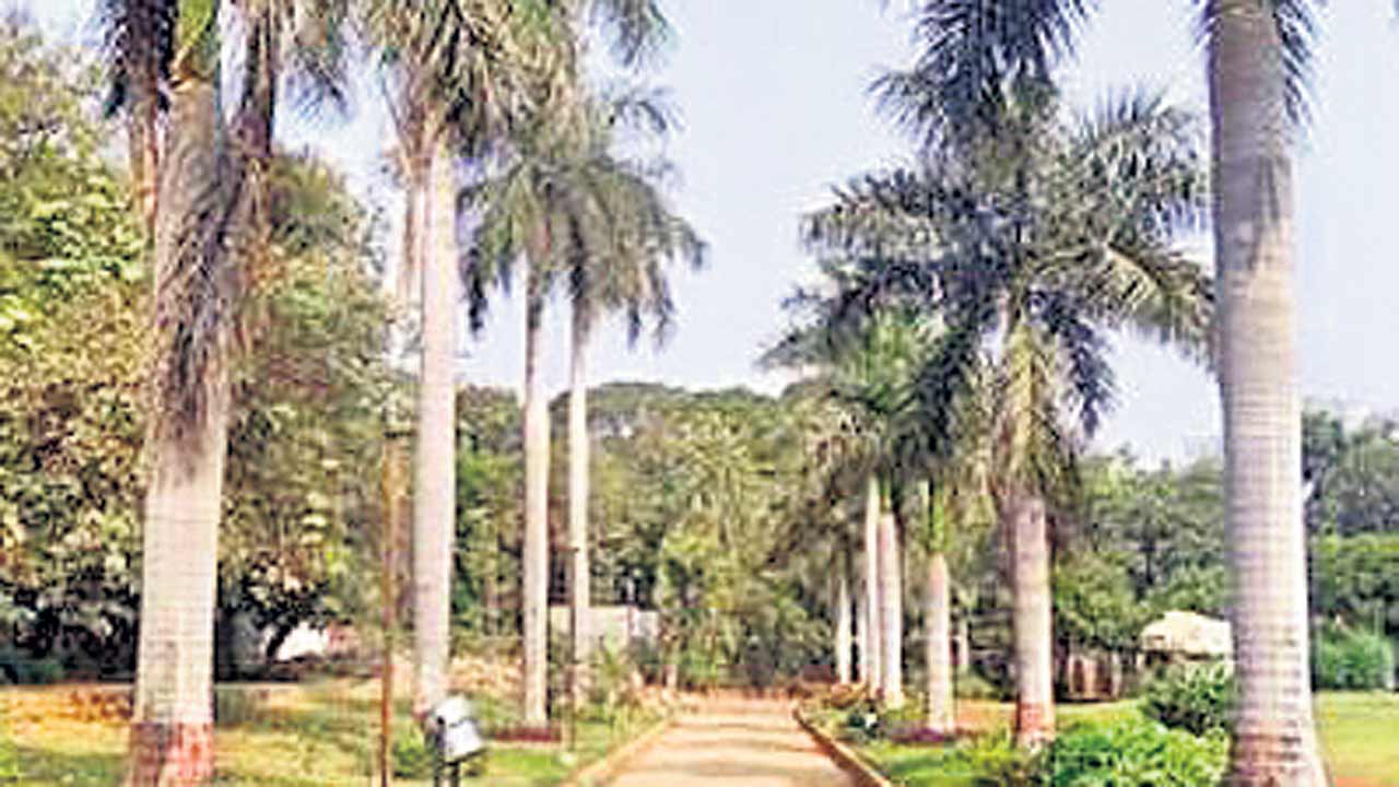 నెహ్రూ పార్కులో అక్రమార్కుడు!