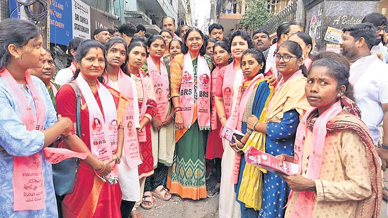 గులాబీ జెండా ఎగిరేస్తాం