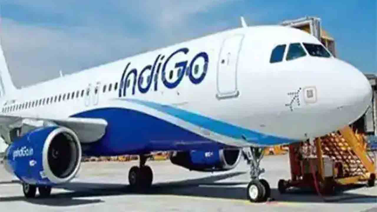 IndiGo | ల్యాండింగ్‌ సమయంలో విమానాన్ని ఢీ కొట్టిన పక్షి.. దెబ్బతిన్న ముందుభాగం