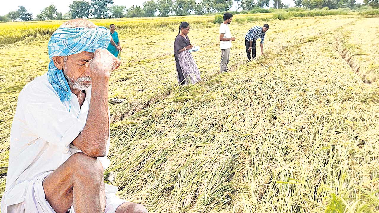 వరి దిగుబడి పడిపాయె!