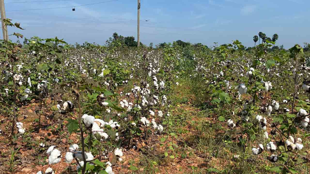 కూలీల కొరత