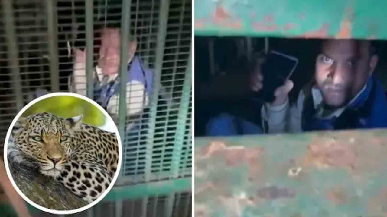 Watch: చిరుత కోసం బోను ఏర్పాటు.. అందులో చిక్కుకున్న తాగుబోతు