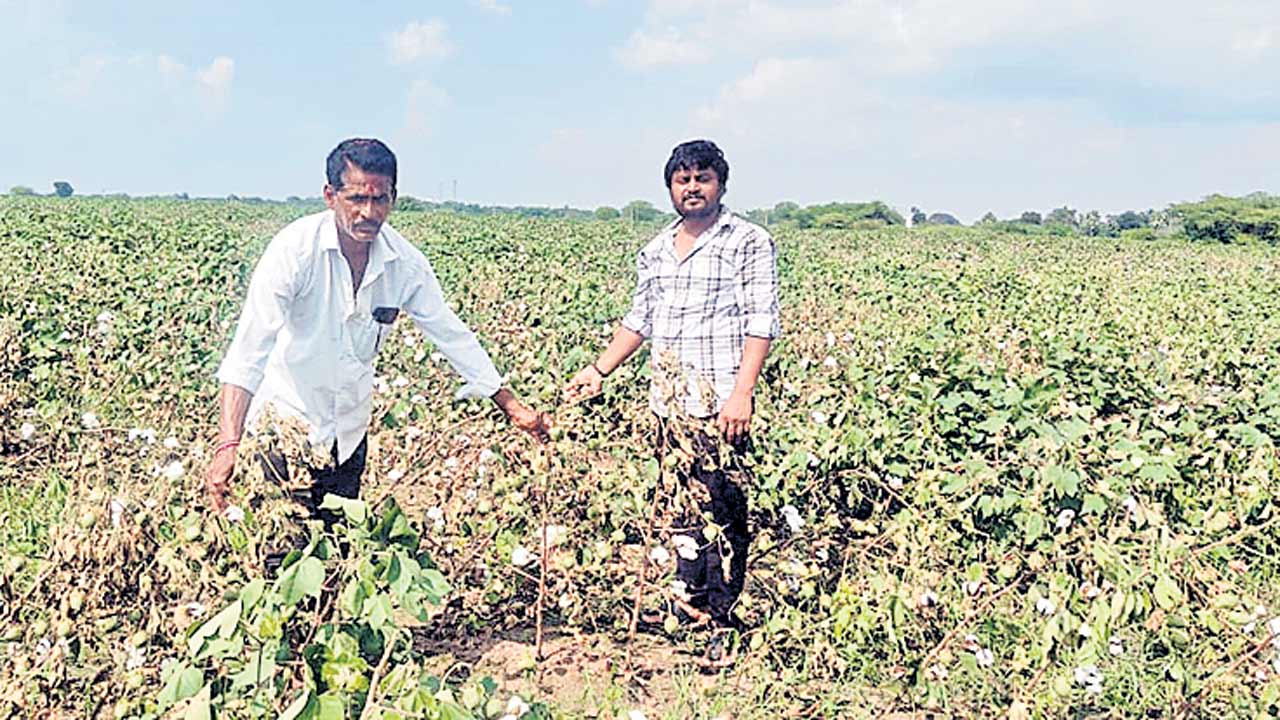 చేలల్లో నీళ్లు.. రైతు కంట కన్నీళ్లు