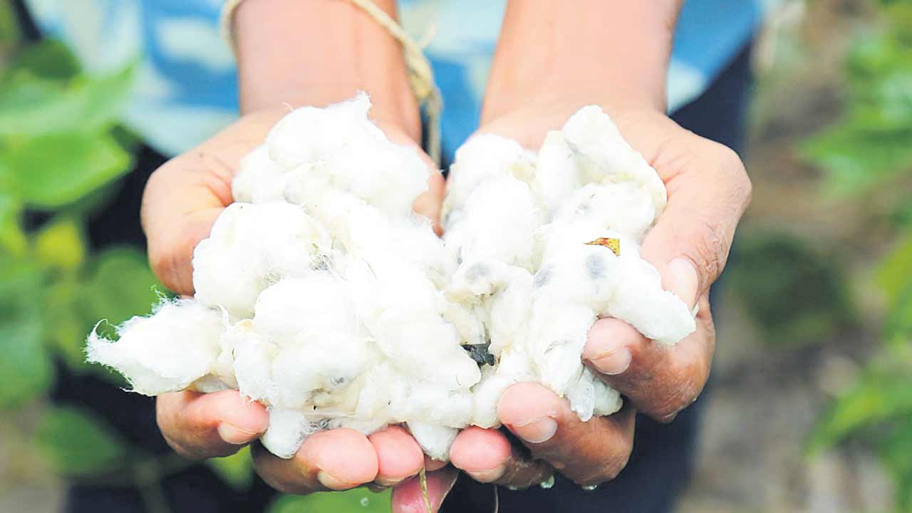 కష్టం వర్షార్పణం!