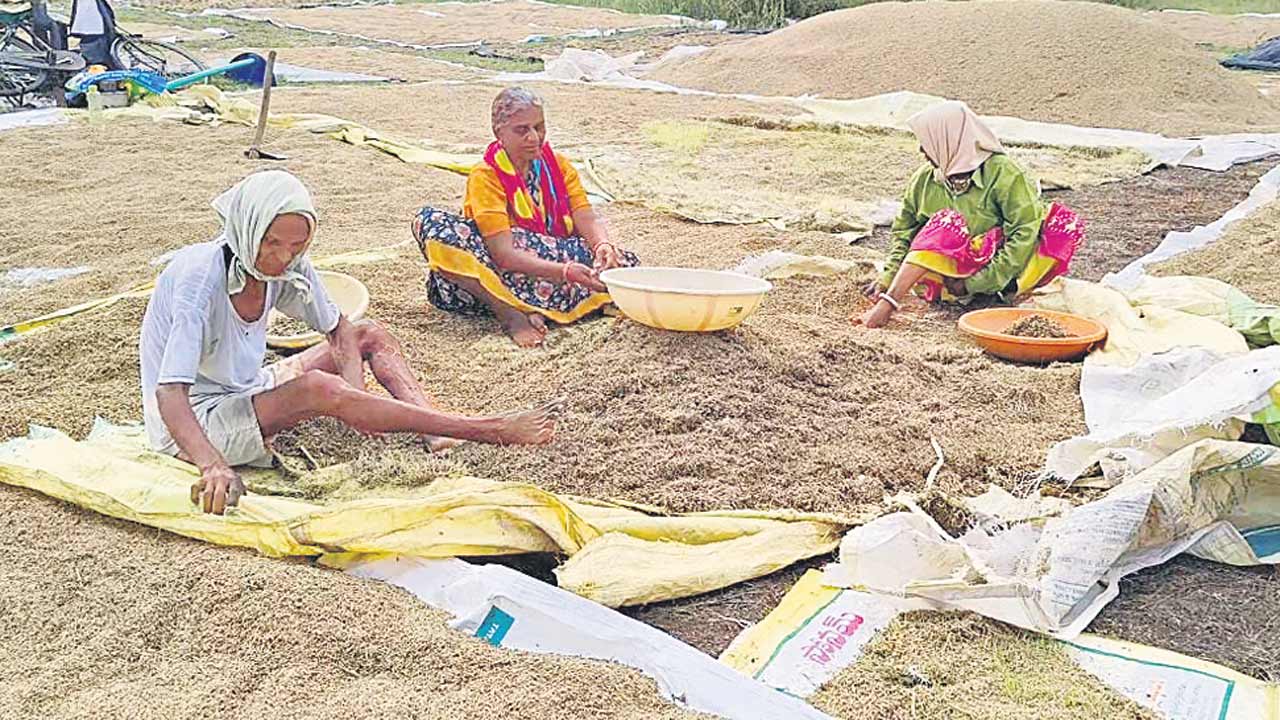 వడ్లు వరదపాలు.. మందకొడిగా కొనుగోళ్లు