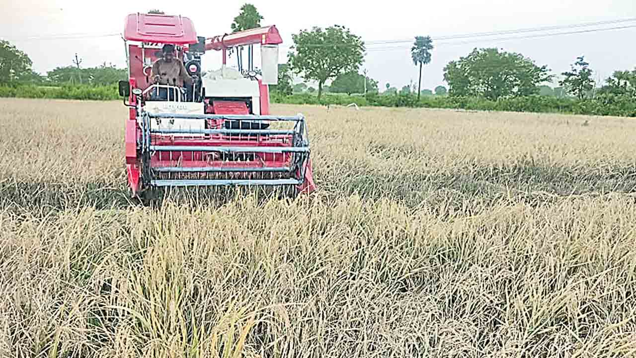 భారంగా మారిన వరి కోతలు..!