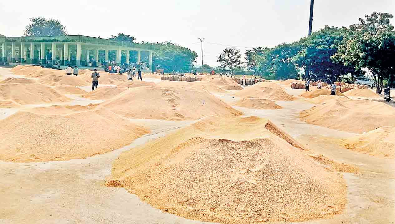 ధర తక్కువైనా మార్కెట్‌కే ధాన్యం