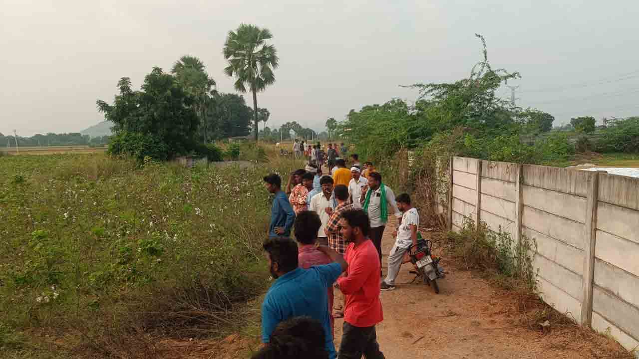 Natukollu | రహదారి వెంట నాటుకోళ్లు.. పొలాల వెంట పరుగులు పెడుతూ ఎగబడ్డ జనాలు