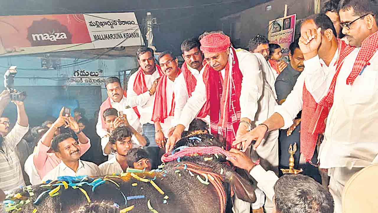 తెలంగాణలో పశువులను పూజిస్తారు