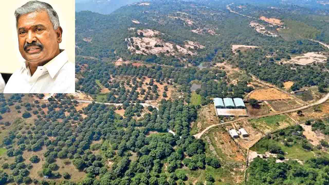 Chief Conservator | పెద్దిరెడ్డి కుటుంబం ఆక్రమించుకున్న అటవీ భూములను స్వాధీనం చేసుకుంటాం : ప్రిన్సిపల్‌ చీఫ్‌ కన్జర్వేటర్‌