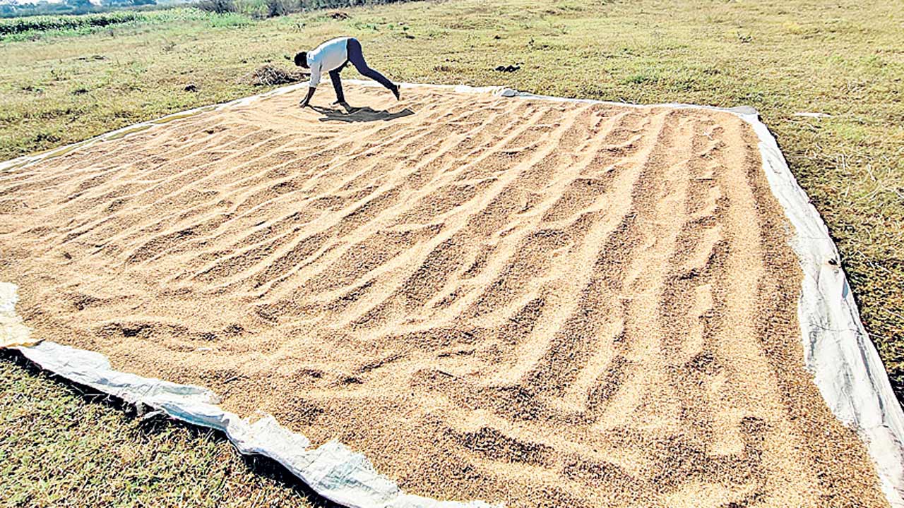 అన్నదాత అరిగోస