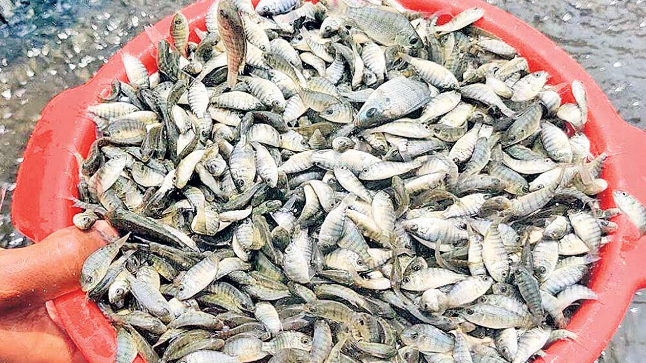 చేరువుకు ఎప్పడు చేరేనో?