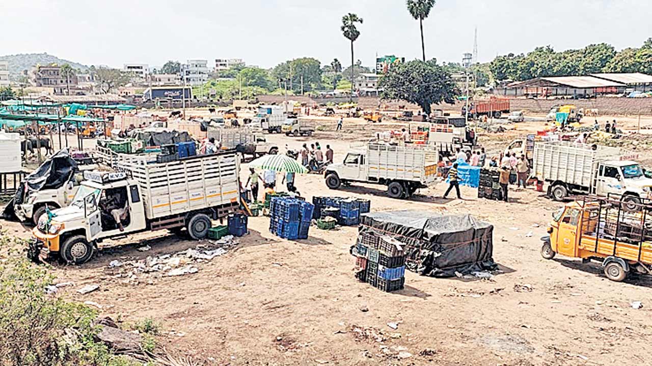పండ్ల మార్కెట్‌ ఏర్పాటుపై నీలినీడలు