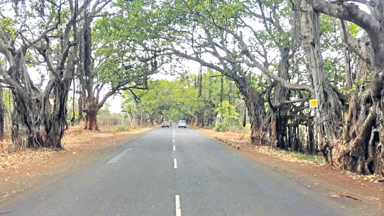 అడ్డంకులు వీడినా.. అదే అలసత్వం..