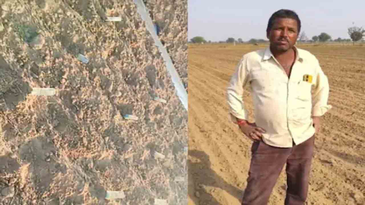 Watch: పొలంలో రూ.500 నోట్లు నాటిన రైతు.. ఎందుకంటే?