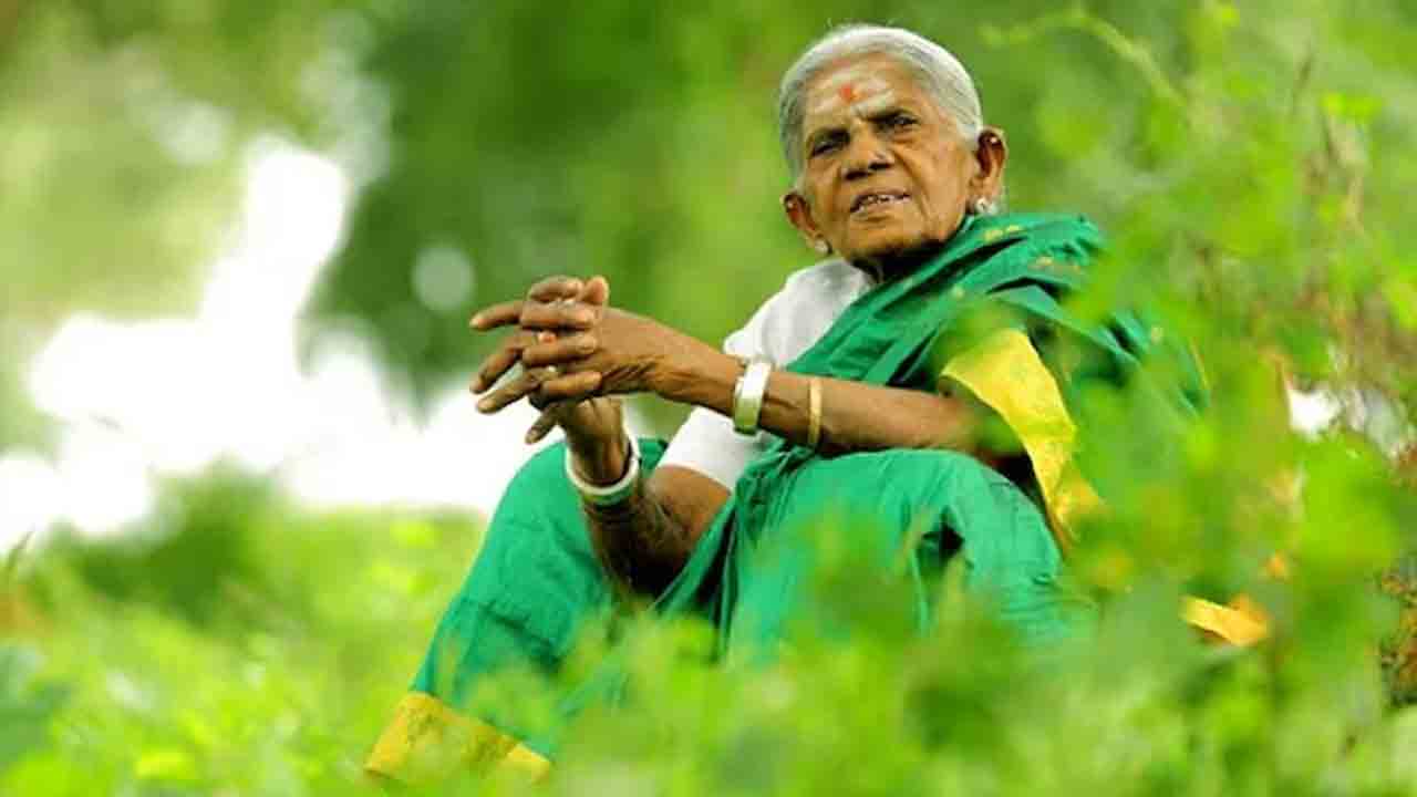 Saalumarada Thimmakka | వృక్షమాత పద్మశ్రీ తిమ్మక్క కన్నుమూత