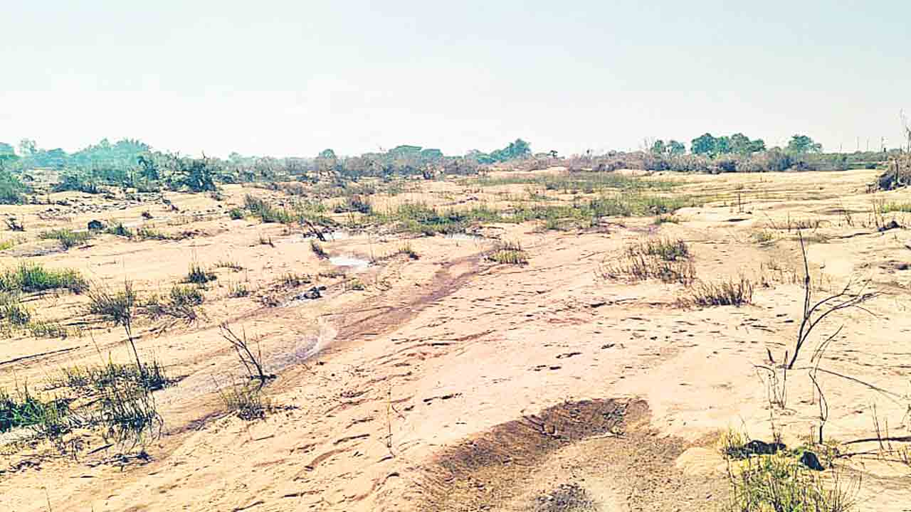 మంజీరాలో ఇసుక ధార