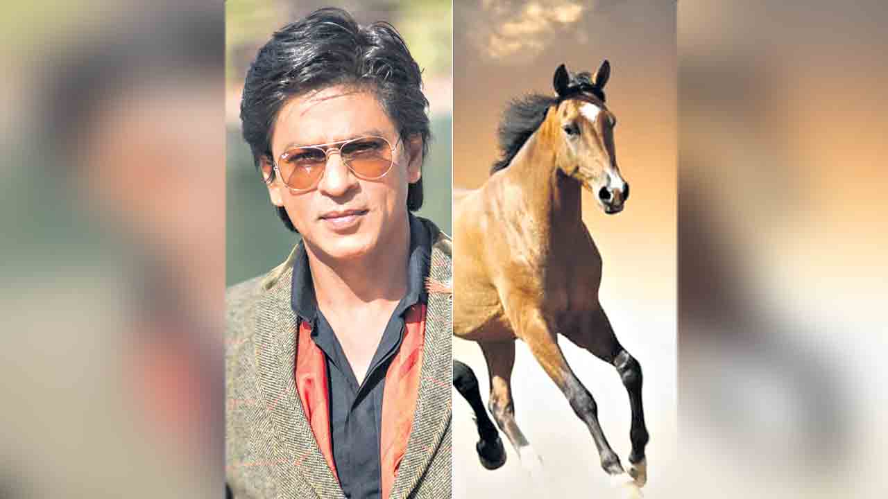 Shah Rukh Khan