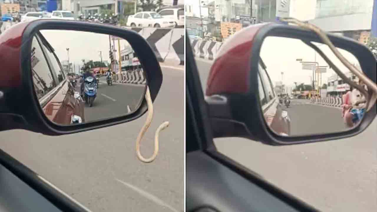 Snake | షాకింగ్‌.. కారు రన్నింగ్‌లో ఉండగా సైడ్‌ మిర్రర్‌లో పాము.. VIDEO