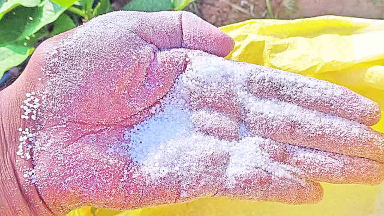 యూరియా బస్తాలో మట్టి పెల్లలు..