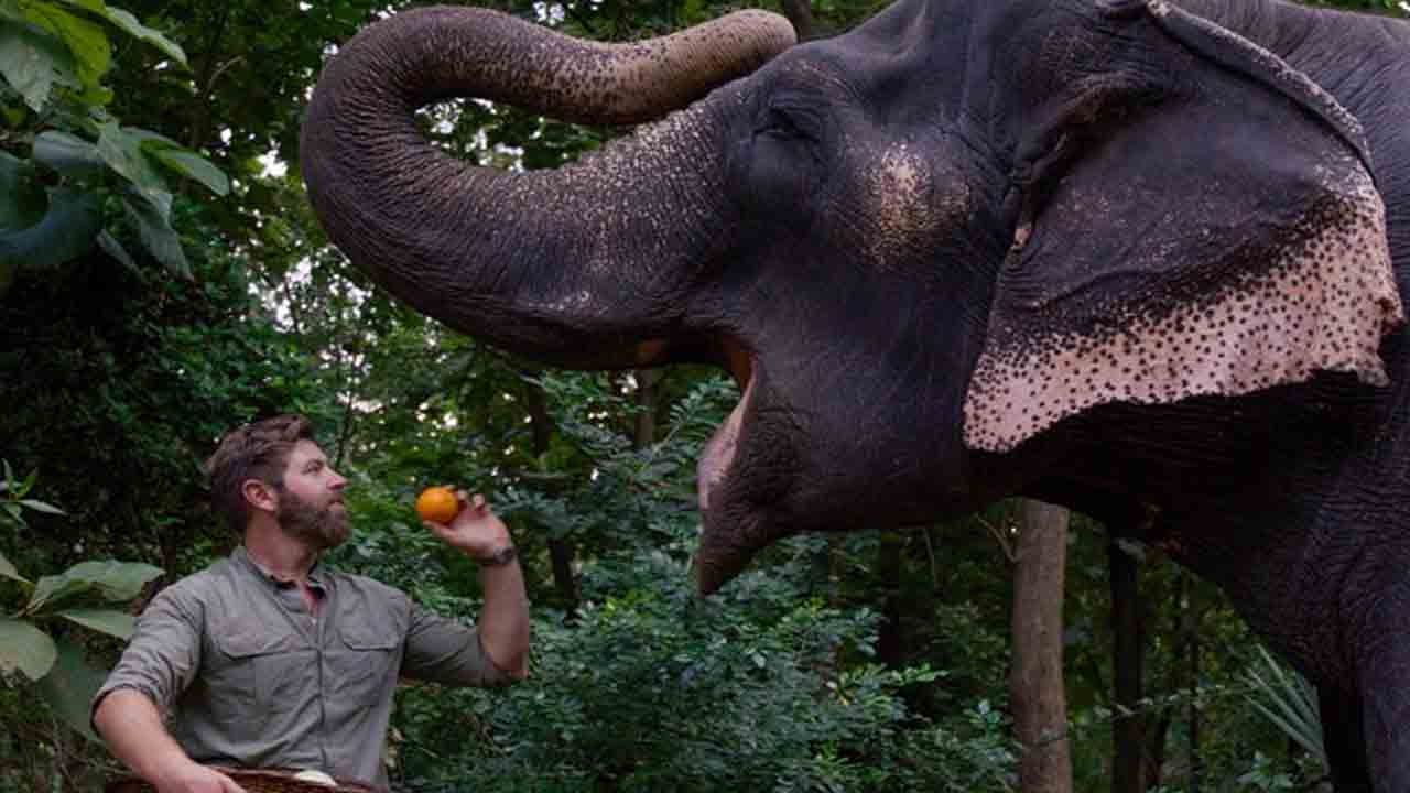 Vantara Sanctuary | అనంత్ అంబానీ ‘వంతారా’పై డాక్యుమెంట‌రీ.. స్ట్రీమింగ్ ఎక్కడంటే?