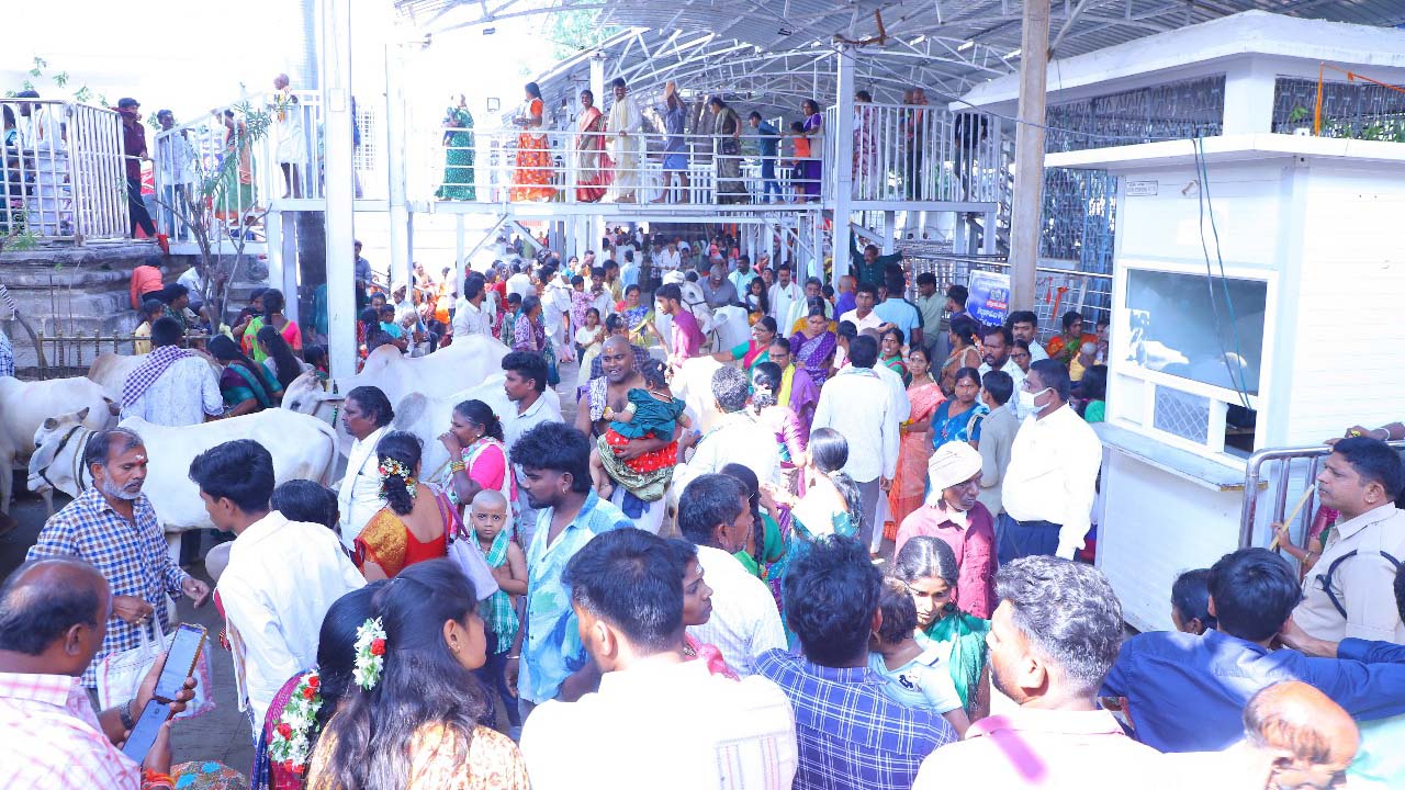 Vemulawada | వేములవాడ రాజన్న, భీమన్న ఆలయాలకు పోటెత్తిన భక్తజనం..